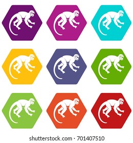 Capuchin monkey icon set many color hexahedron isolated on white vector illustration
