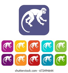 Capuchin monkey icons set vector illustration in flat style In colors red, blue, green and other