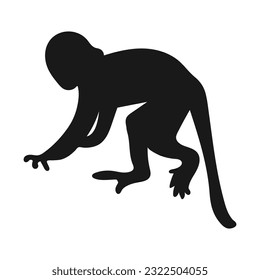 Capuchin monkey. Isolated icon on a white background
