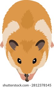 Capuchin monkey reaching for banana, three-quarter view action pose, detailed, flat vector illustration