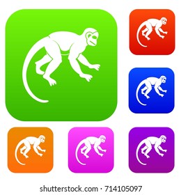 Capuchin monkey set icon color in flat style isolated on white. Collection sings vector illustration