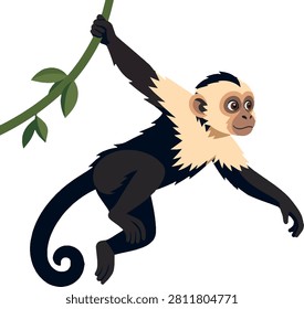 Capuchin monkey swinging on vine side view dynamic pose, tropical forest flat vector illustration