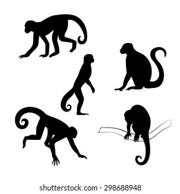 Capuchin monkey vector icons and silhouettes. Set of illustrations in different poses.