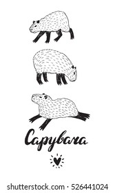 capybara animal heart object