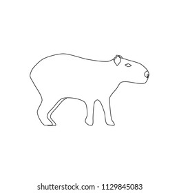 Capybara animal illustration on the white background, Vector illustration