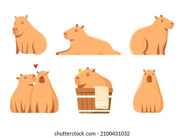 Capybara animal set isolated on white background