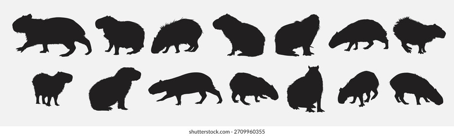 capybara animal silhouette set vector illustration
