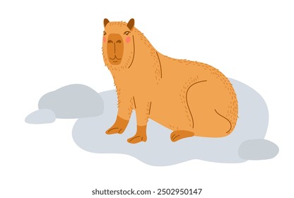 Capybara Animal is sitting on rocky area isolated on white background. Funny charming capybara resting in nature Design for children, print, nursery. Cute cartoon character. Hydrochoerus hydrochaeris.