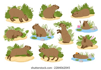 Capybara animals. Cartoon semi-aquatic wild animals, cute herbivore mammals in natural habitat flat vector illustration set. South America fauna