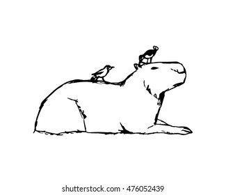 Capybara and birds on white background abstract illustration