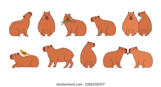 Capybara characters set. Cute cartoon animals in cartoon style