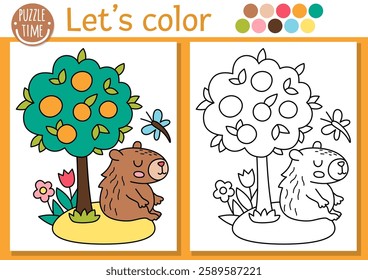 Capybara coloring page for children with cute animal and tangerine tree. Vector capibara outline illustration. Color book for kids with colored example. Drawing skills printable worksheet
