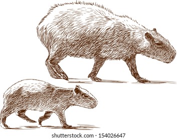 capybara with a cub