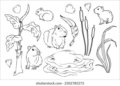 capybara cute animal doodle, Seth capybara on nature lake and reeds. Adult and baby capybara. Graphics, hand drawing, colorize animals.