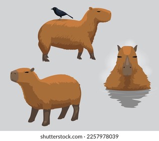 Capybara Cute Cartoon Poses Vector Illustration Set 3