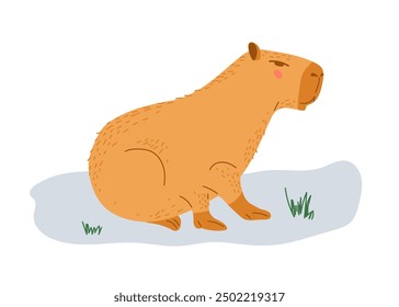 Capibara. Diseño para niños, impresión, guardería. Capybara se para y mira a la distancia, entrecerrando los ojos aislados en un fondo blanco. Personaje de dibujos animados divertido lindo. Hydrocherus hydrochaeris.