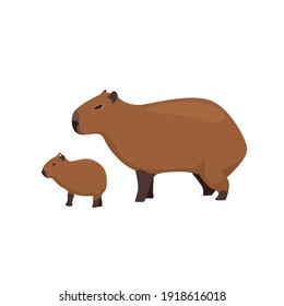 Capybara Family Animal Flat Vector