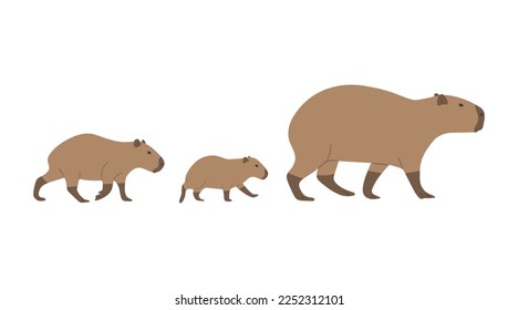 capybara family cute on a white background, vector illustration. capybara family is the largest rodent.