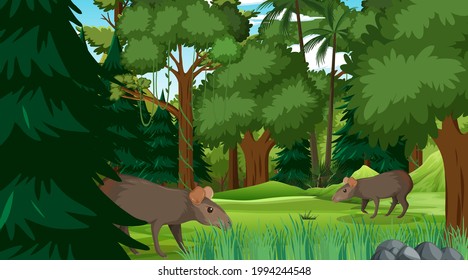 Capybara family in forest or rainforest scene with many trees illustration