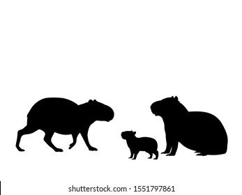 Capybara family. Silhouettes of animals. Vector illustrator