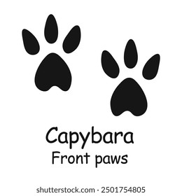 Capybara front paws. Capybara paw print. Vector illustration.	