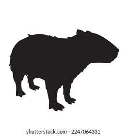 Capybara fur aquatic zoo animals rodent silhouette drawing icon vector illustration isolated on plain white background. Simple flat black drawing with clean shape. Decorative artwork.