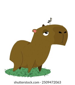 
capybara in the grass with bird on its head. children's drawing. flat illustration, vector.