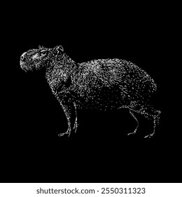 capybara hand drawing vector isolated on black background.