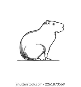 Capybara Hand Drawn Vector Illustration. Design element for shirt design, logo, sign, poster, banner, card