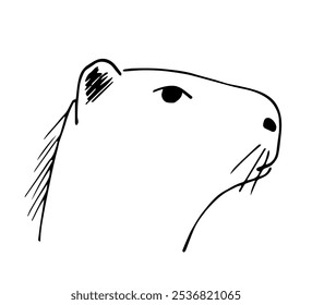 Capivara cabeça, roedores, animais selvagens da América do Sul. Natureza, herbívoros. Desenho de vetor simples com contorno preto.