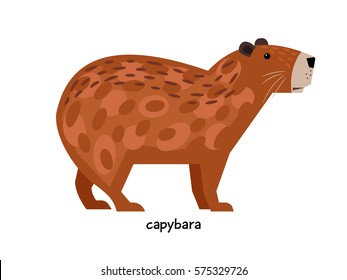 Capybara - herbivore semi-aquatic mammals