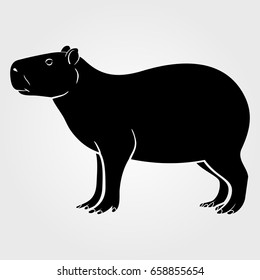 Capybara icon isolated on white background.