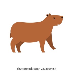 Capybara isolated. guinea pig Vector illustration