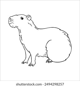 Capibara aislado sobre fondo blanco. Contorno de conejillo de Indias. Ilustración vectorial. Gráfico, garabato..