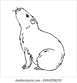 Capibara aislado sobre fondo blanco. Contorno de conejillo de Indias. Ilustración vectorial. Gráfico, garabato..