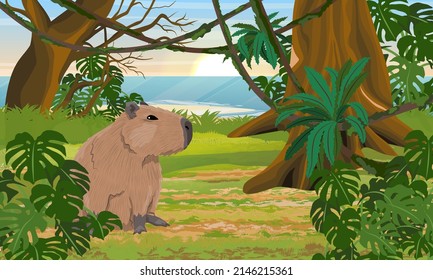 Capybara in the jungle by the ocean. Wild animals of South America.