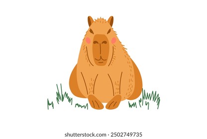 Capybara se encuentra en un suelo cubierto de hierba y mira hacia adelante aislado sobre un fondo blanco. Divertido roedor tranquilo. Diseño para niños, impresión, guardería. Personaje divertido lindo de la historieta. Hydrocherus hydrochaeris.