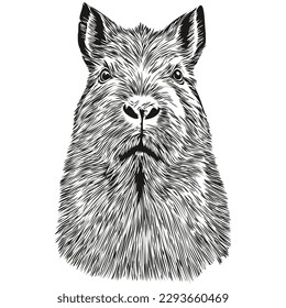 Logo de Capibara, capibaras de dibujos a mano de ilustraciones en blanco y negro
