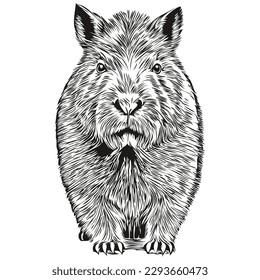 Capybara logo, black and white illustration hand drawing capybaras
