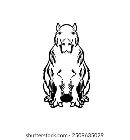 capybara logo and vintage art