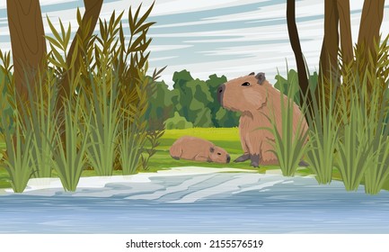 Capybara mother and her cub are sitting on the shore of the lake. Rodents of South America. Realistic vector landscape