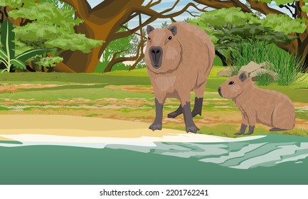 La madre de Capibara y dos cachorros llegaron al lago en la jungla. Roedores de Sudamérica. Paisaje vectorial realista