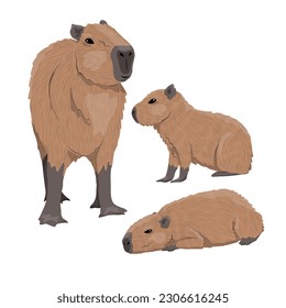 Capybara mother and two cubs. Wild animals of South America. Vector isolated animals