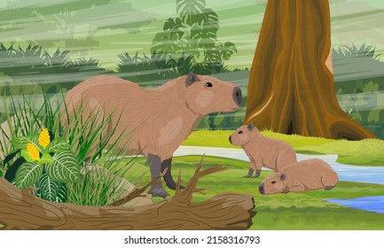 Capybara mother and two her cub are sitting near the stream in the jungle. Rodents of South America. Realistic vector landscape