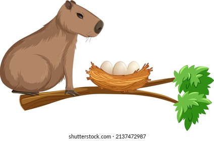 Capybara on branch with egg nest illustration