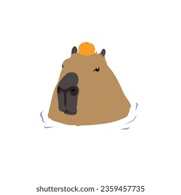 Capybara with orange high quality vector design transparent background