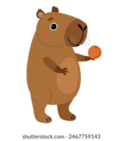 Capybara with orange on white background