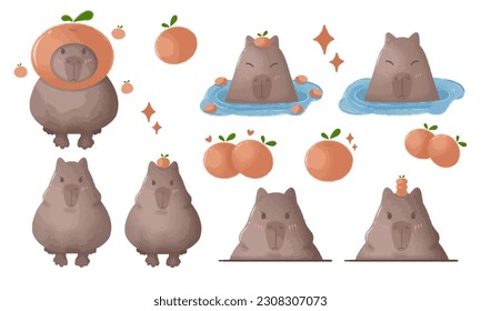 Capybara with orange,Soak in the water