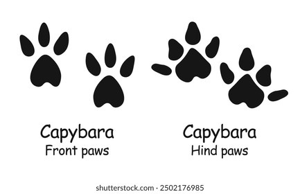 Capybara paws. Capybara paw print. Vector illustration.	