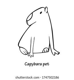 Capybara mascotas sentadas representan la ilustración del vector de contorno aislado en blanco.